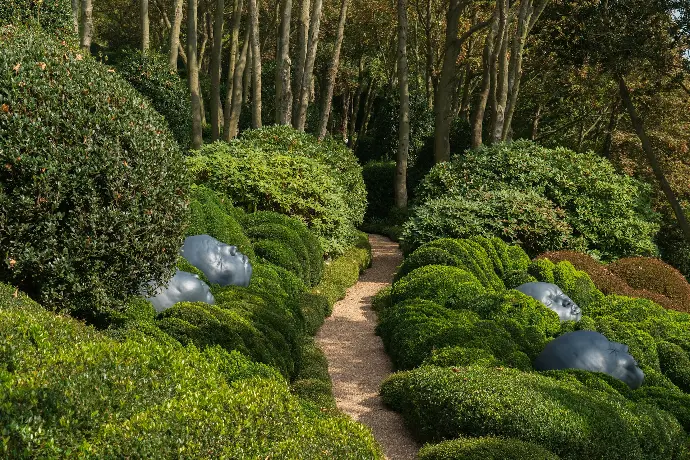 green plants on brown brick pathway